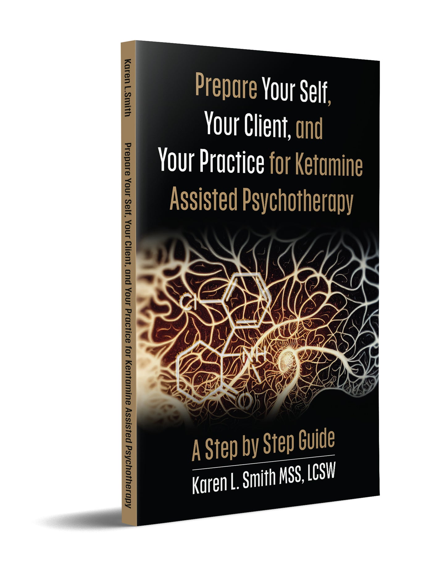 Prepare Yourself, Your Clients and Your Practice for Ketamine-Assisted Psychotherapy: Instructional Video Series